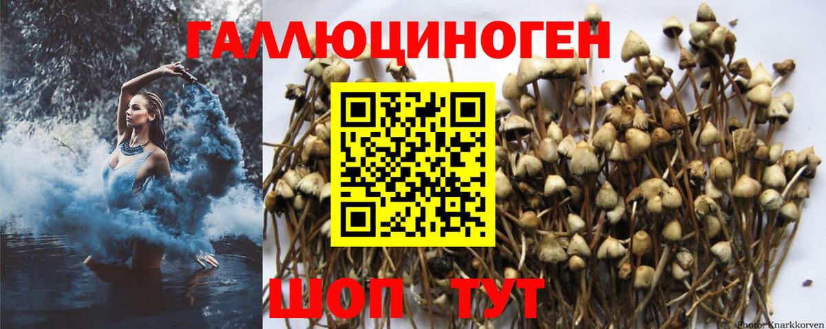 Псилоцибиновые грибы MAGIC MUSHROOMS  Вход с VPN  Железноводск 